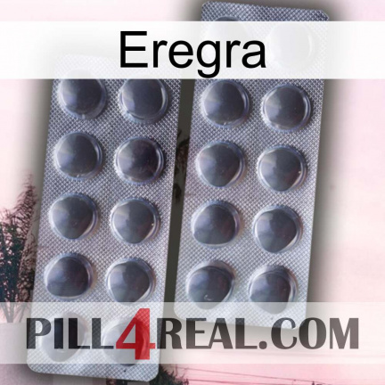 Eregra 31